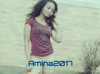 Amina2017