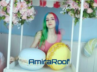 AmiraRoof