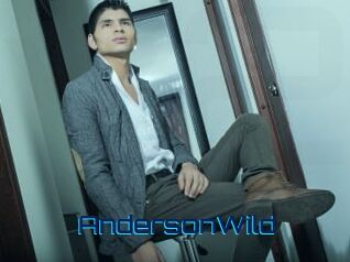 AndersonWild