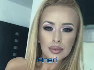 Aneri
