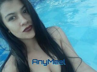 AnyMeel