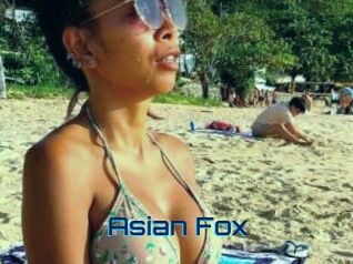 Asian_Fox