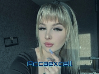 Accaexcell