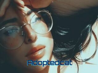 Adoptedcat
