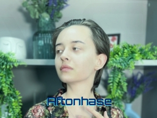 Aftonhase
