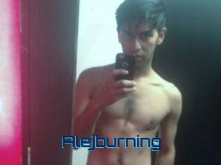 Alejburning