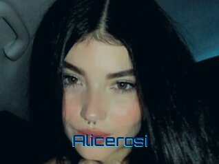 Alicerosi