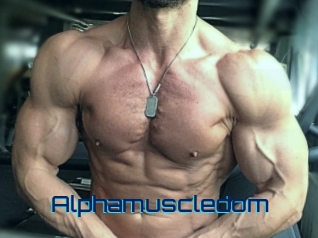 alphamuscledom Vidéos de Cul FR