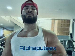 alphapulsex Vidéos de Cul FR
