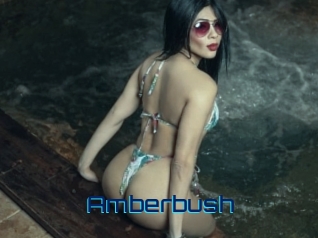 amberbush Vidéos de Cul FR