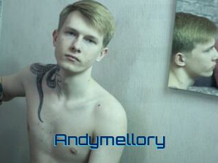 Andymellory