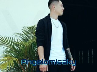 Angelomisaky