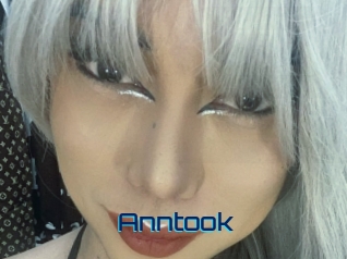 Anntook