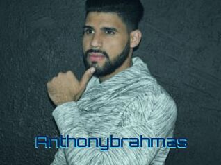 anthonybrahmas Vidéos de Cul FR