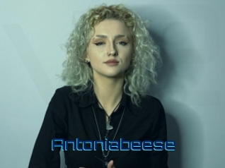 antoniabeese Vidéos de Cul FR