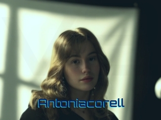 Antoniacorell