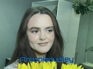 Antoniadudley