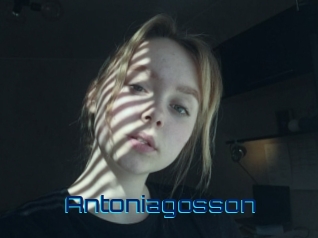 Antoniagosson
