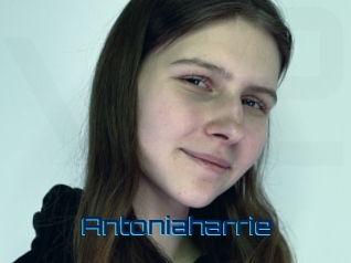 antoniaharrie Vidéos de Cul FR