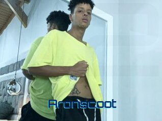 Aronscoot