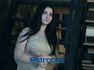 Astrobee