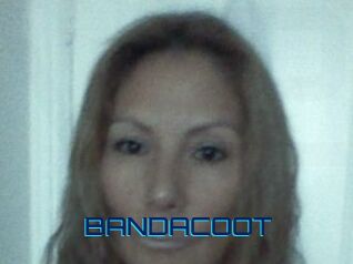 BANDACOOT
