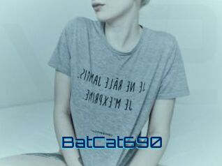 BatCat690