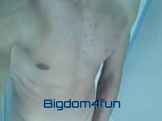 Bigdom4fun