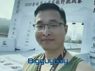 Bigguyboy