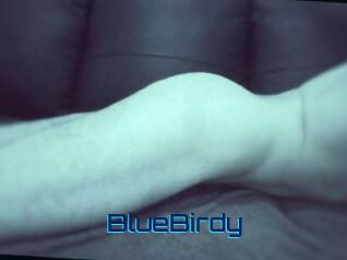BlueBirdy
