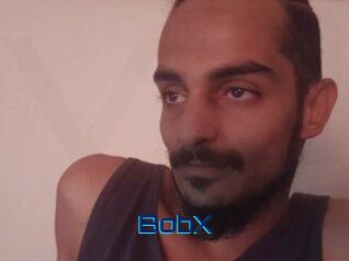 BobX Vidéos de Cul FR