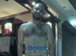 Bosom