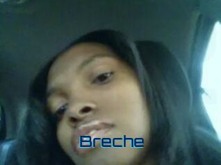 Breche
