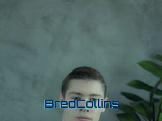BredCollins Vidéos de Cul FR