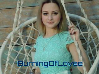 BurningOfLovee