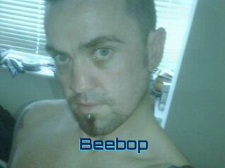 beebop Vidéos de Cul FR