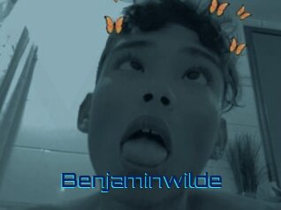 Benjaminwilde