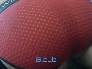 Bicub