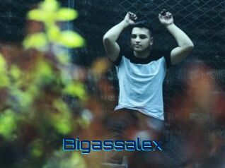 Bigassalex