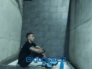 Bigboss22