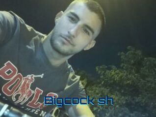 Bigcock_sh