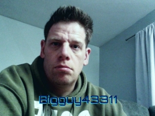 Bigguy43311