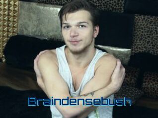 Braindensebush