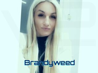 Brandyweed