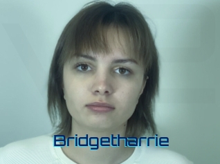 Bridgetharrie