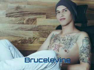 Brucelevine