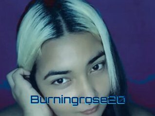Burningrose20