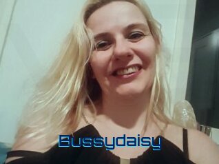 Bussydaisy