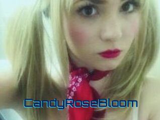 CandyRoseBloom