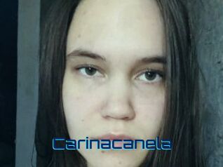 Carinacanela Vidéos de Cul FR